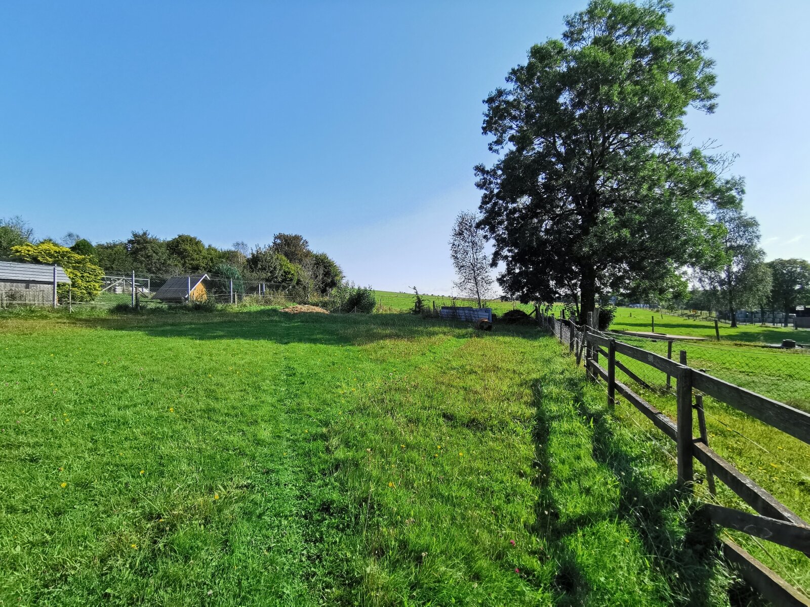 Wiesen mit Weitblick